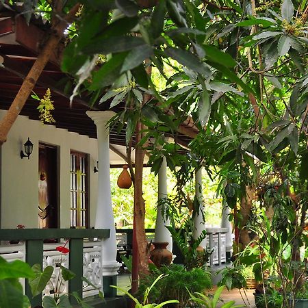 Sigiri Rock Side Home Stay Sigiriya Eksteriør bilde