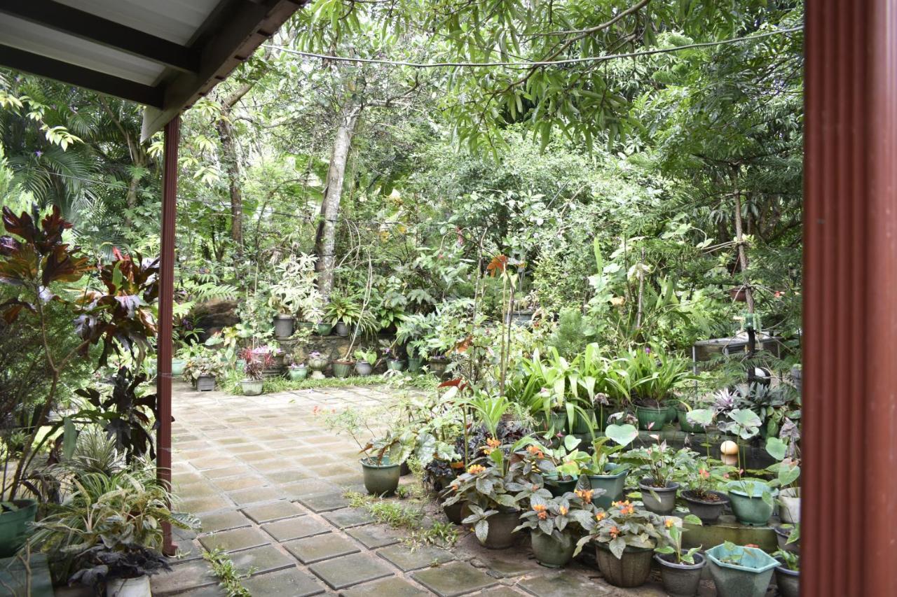 Sigiri Rock Side Home Stay Sigiriya Eksteriør bilde