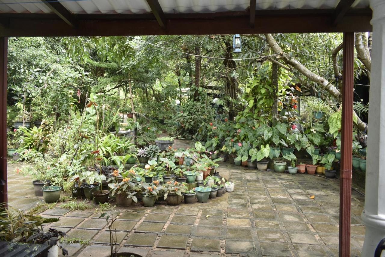 Sigiri Rock Side Home Stay Sigiriya Eksteriør bilde