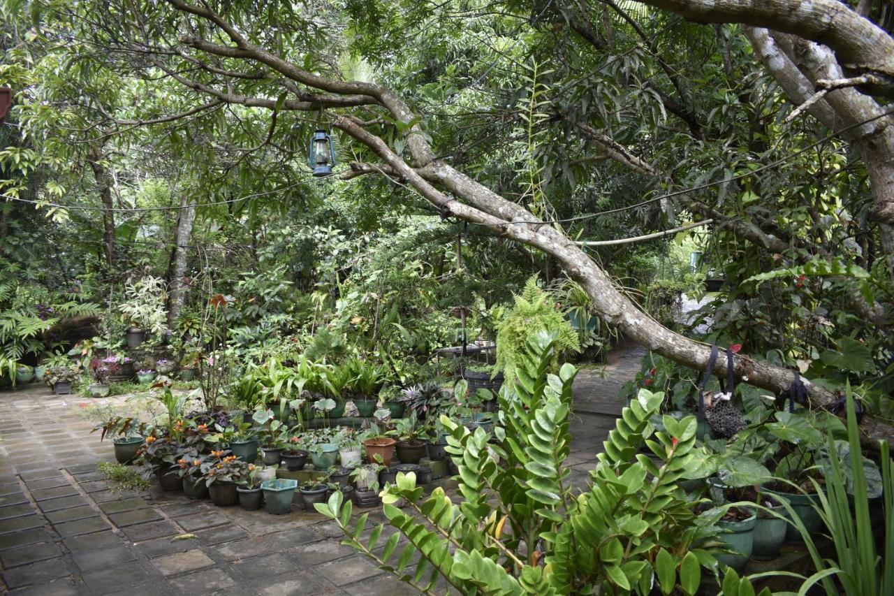 Sigiri Rock Side Home Stay Sigiriya Eksteriør bilde