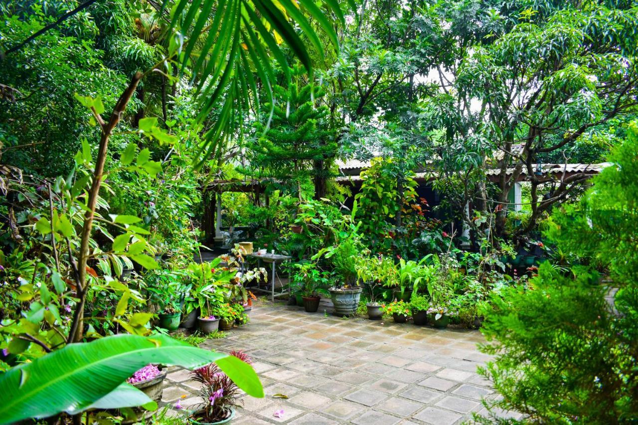 Sigiri Rock Side Home Stay Sigiriya Eksteriør bilde