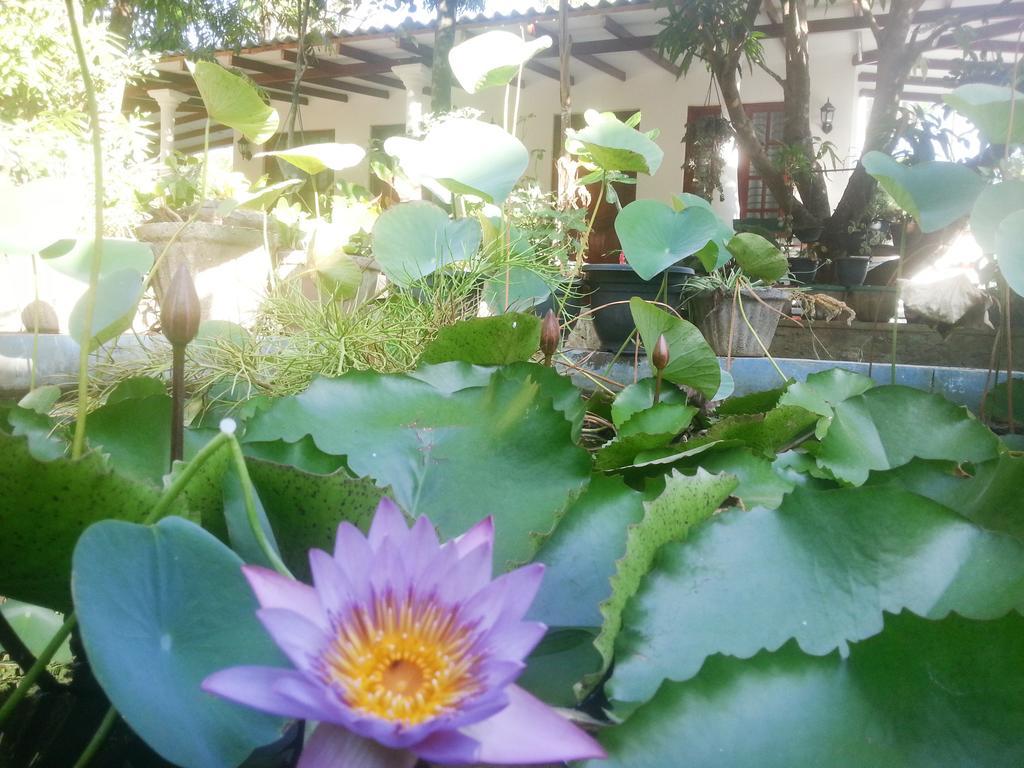 Sigiri Rock Side Home Stay Sigiriya Eksteriør bilde