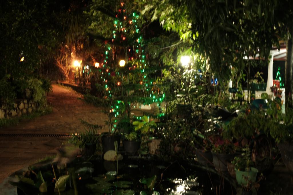 Sigiri Rock Side Home Stay Sigiriya Eksteriør bilde