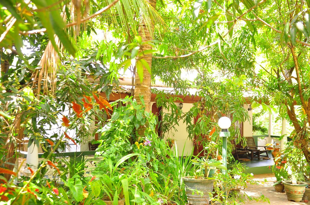 Sigiri Rock Side Home Stay Sigiriya Eksteriør bilde