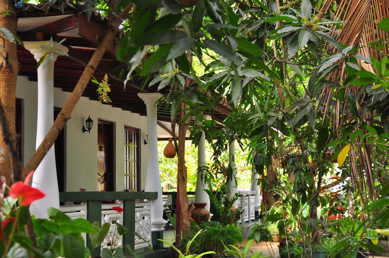 Sigiri Rock Side Home Stay Sigiriya Eksteriør bilde