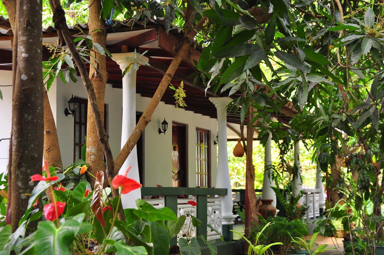 Sigiri Rock Side Home Stay Sigiriya Eksteriør bilde