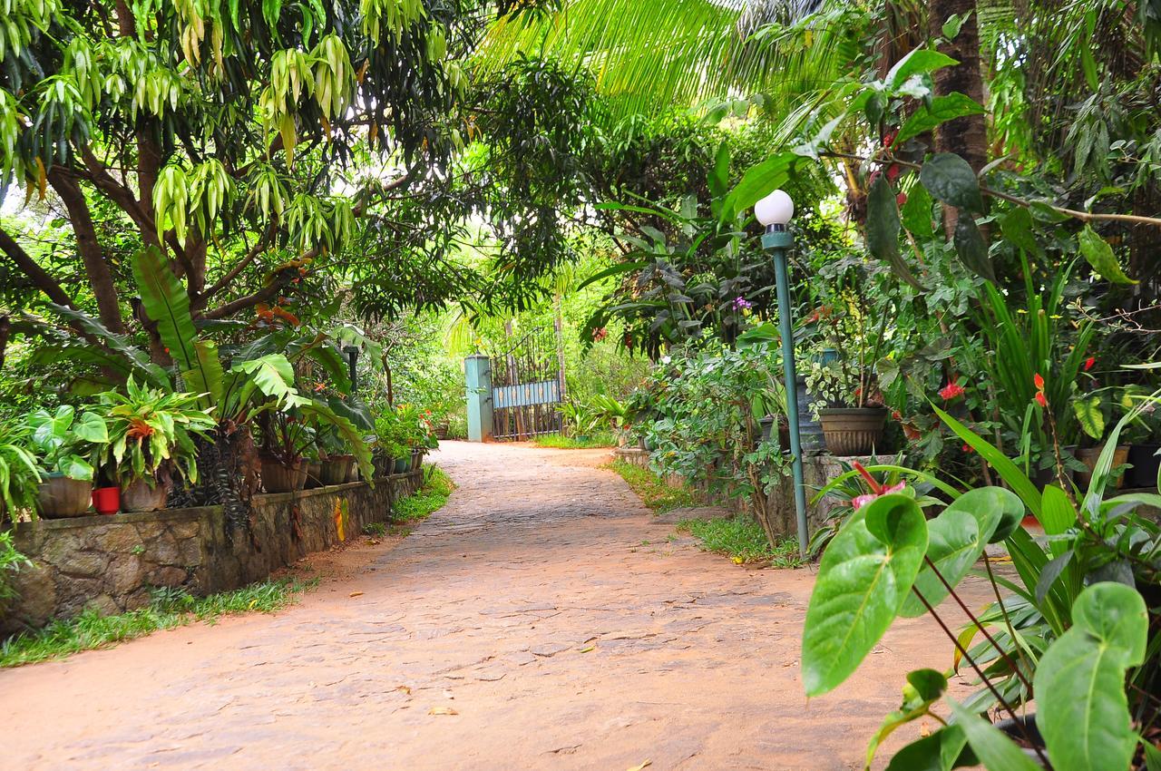 Sigiri Rock Side Home Stay Sigiriya Eksteriør bilde