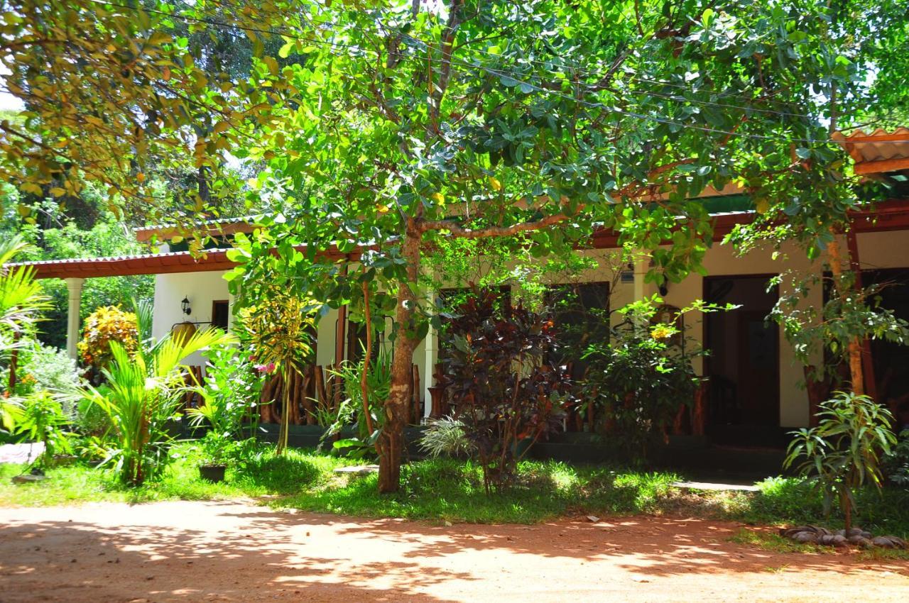 Sigiri Rock Side Home Stay Sigiriya Eksteriør bilde