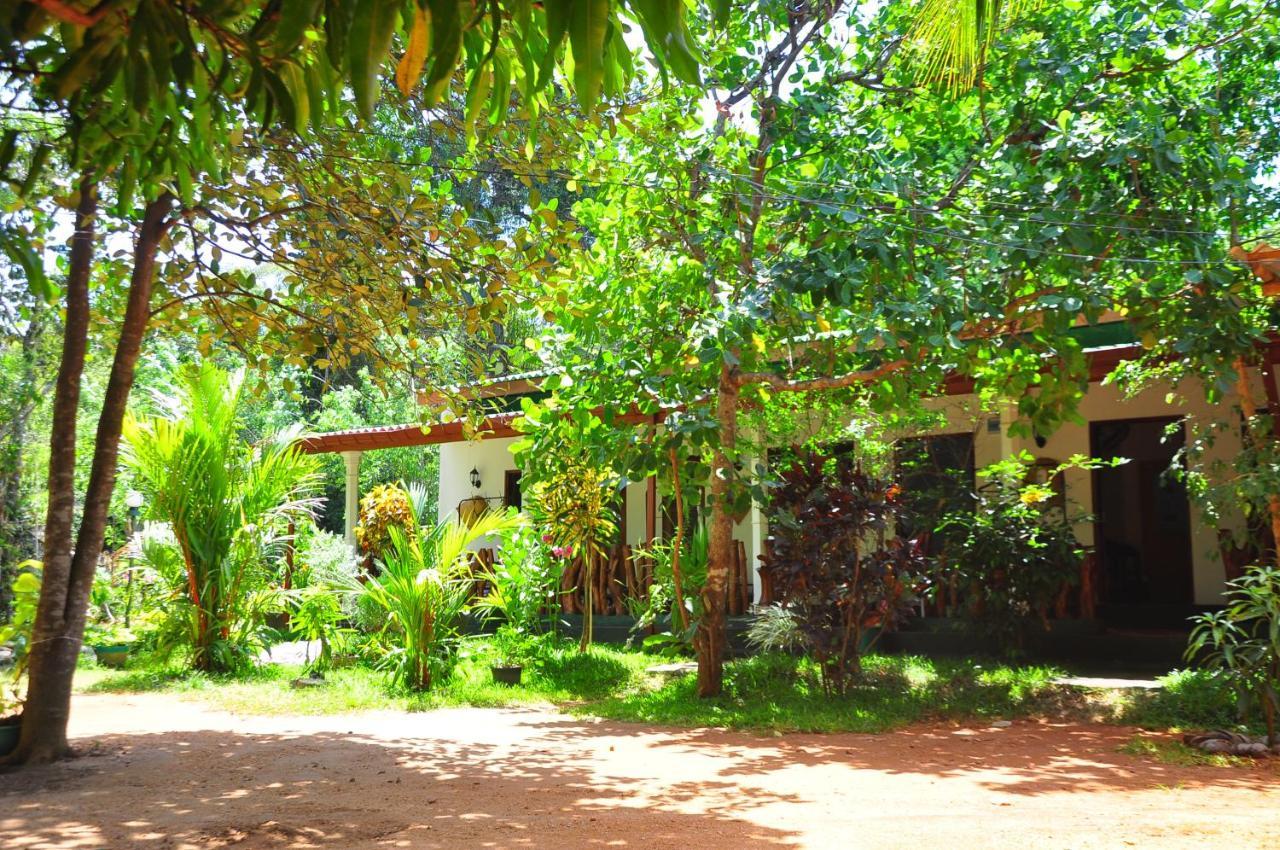 Sigiri Rock Side Home Stay Sigiriya Eksteriør bilde