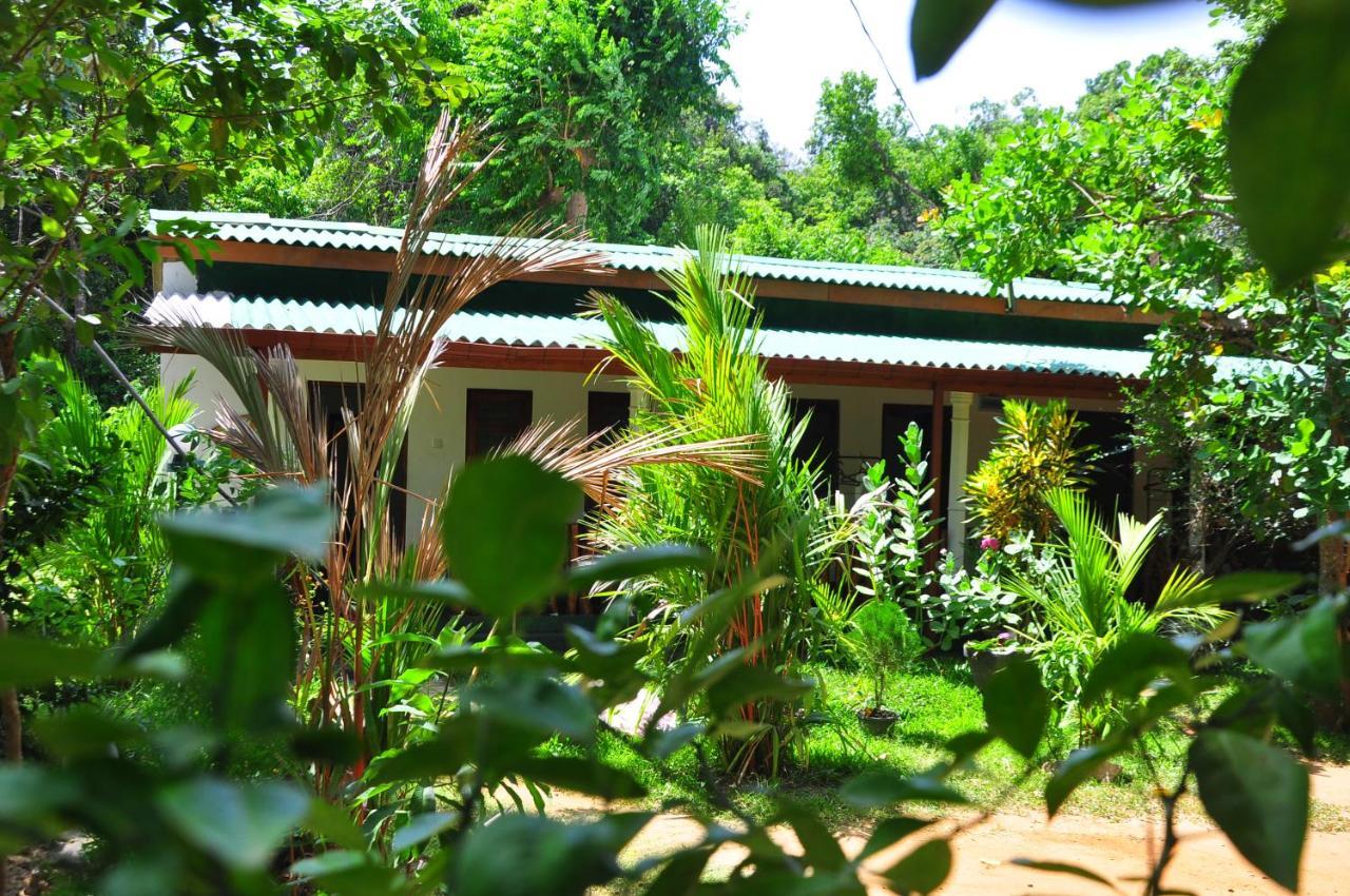 Sigiri Rock Side Home Stay Sigiriya Eksteriør bilde