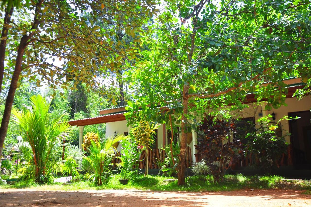 Sigiri Rock Side Home Stay Sigiriya Eksteriør bilde